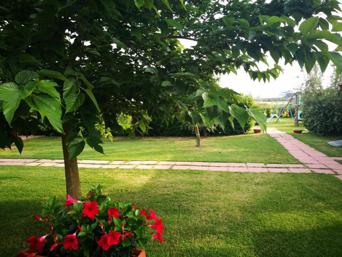 Agriturismo Alturetta Alojamento de Turismo Rural Riotorto